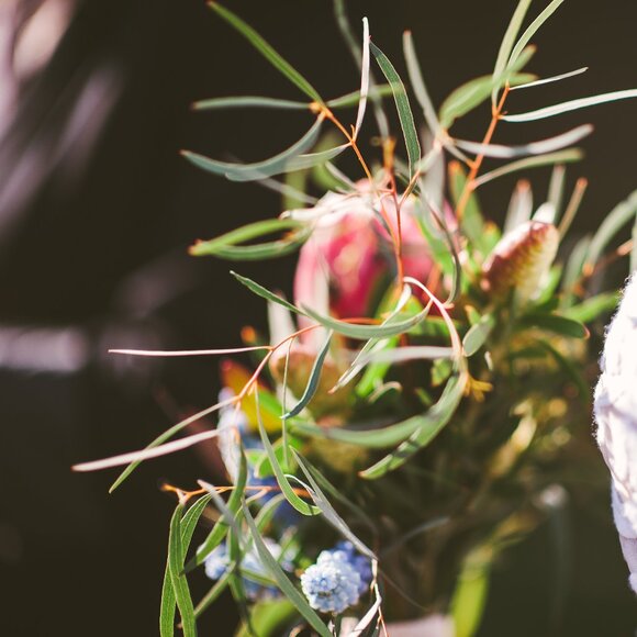 Meet your Posher, Mika - Picture 1 of 1